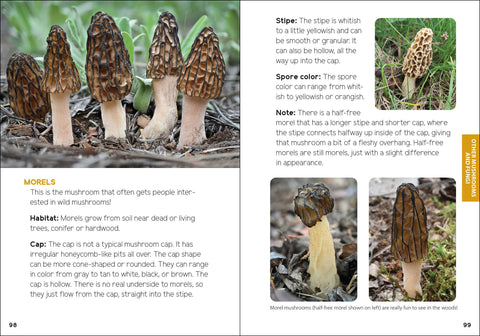 Book (Paperback) - Mushrooms & Fungi for Kids