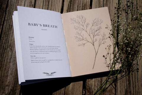 Book (Hardcover) - Floriography