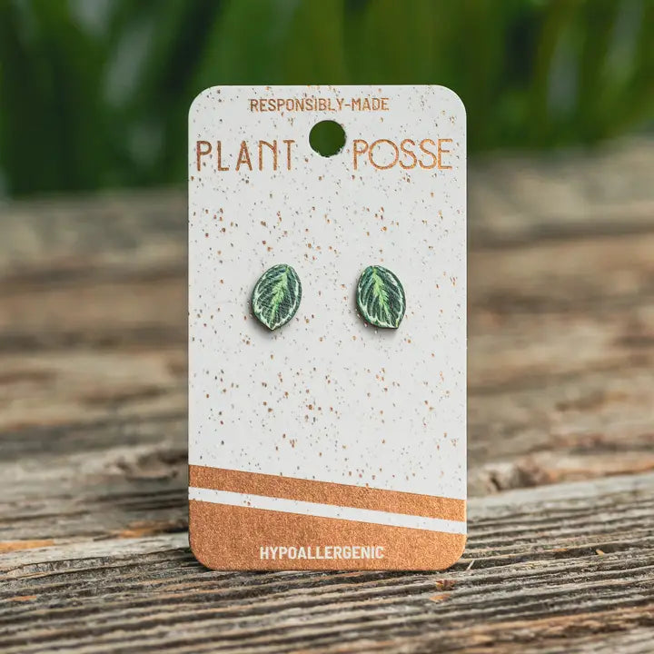 Earrings (Stud) - Medallion Prayer Plant