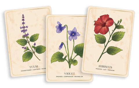 Oracle Deck - Herbal Tea Magic for the Modern Witch