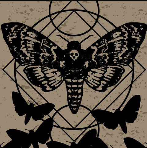 Socks - Death's Head Hawkmoth