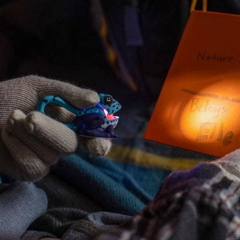 Flashlight - Blue Frog Carabiner