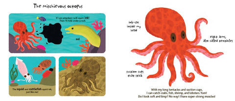 Board Book - Touch and Explore: The Ocean