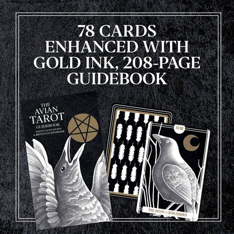 Tarot Cards - Avian