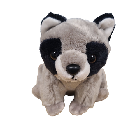 Stuffed Animal - Canned Raccoon (Standard Lid)