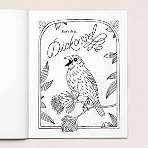 Adult Coloring Book - 30 Dirty Birdies