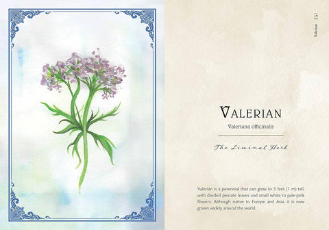 Book (Hardcover) - Wild Medicine: Illustrated Guide to the Magick of Herbs
