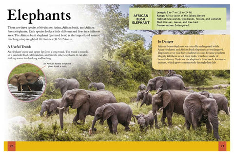 Book (Paperback) - Ultimate Animal Encyclopedia by Claudia Martin