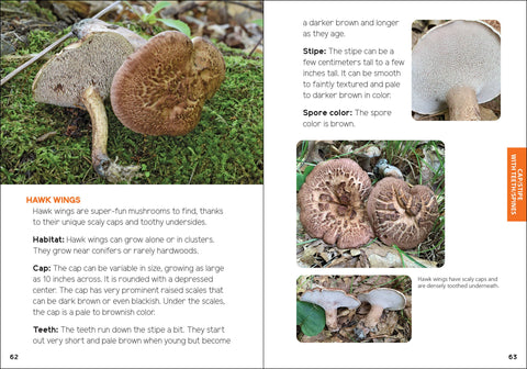 Book (Paperback) - Mushrooms & Fungi for Kids