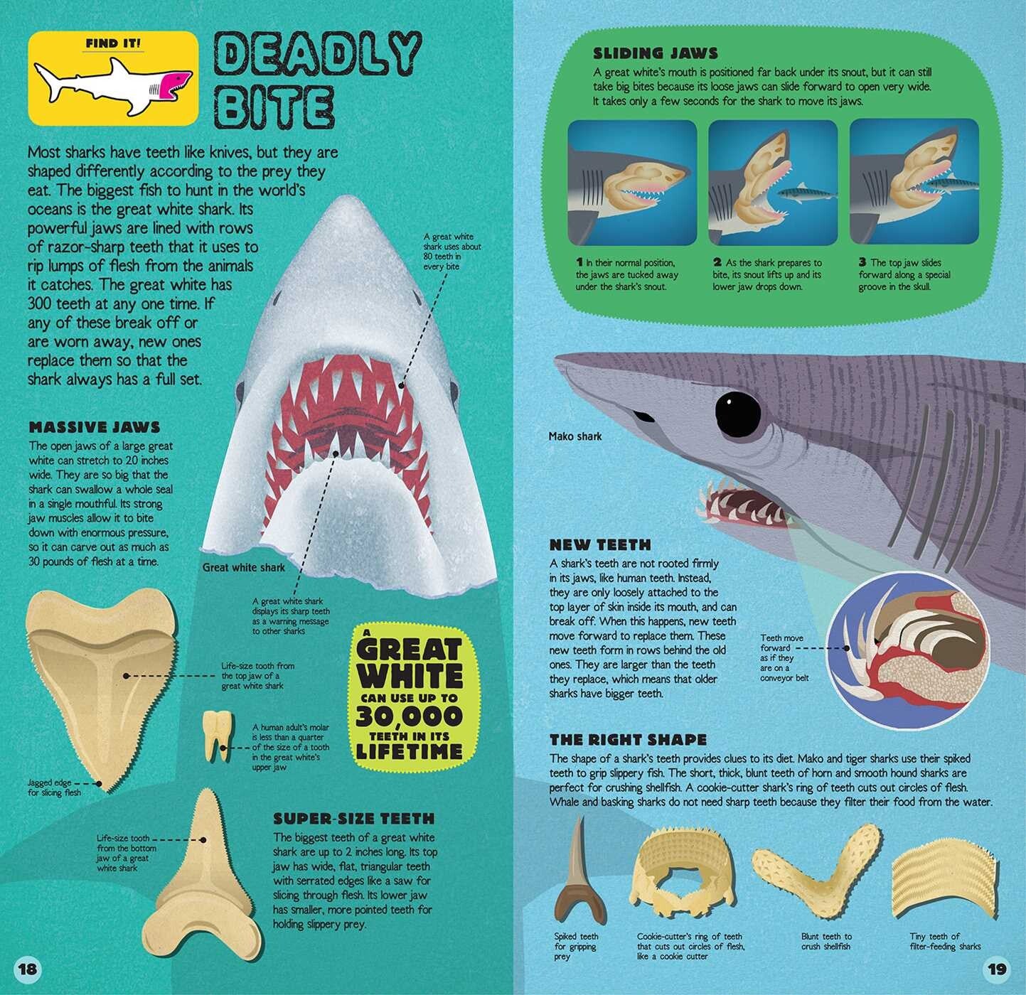 Book (Hardcover) - Discovery: Build The Shark Book + 2 1/2 Foot Great White