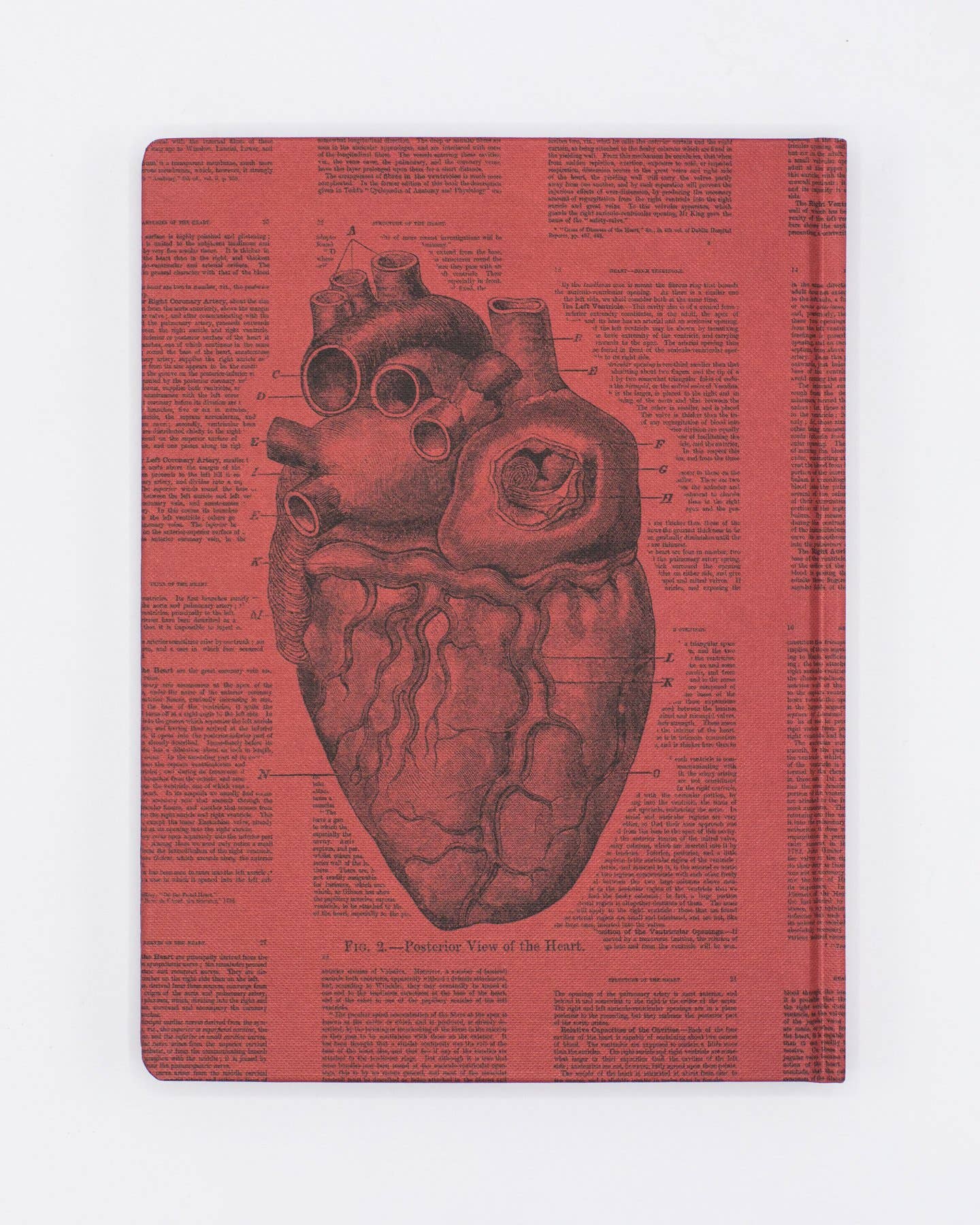 Journal (Hardcover) - Anatomical Heart (Lined/Grid)