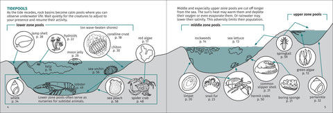 Book (Paperback) - Life on Intertidal Rocks 2nd Edition