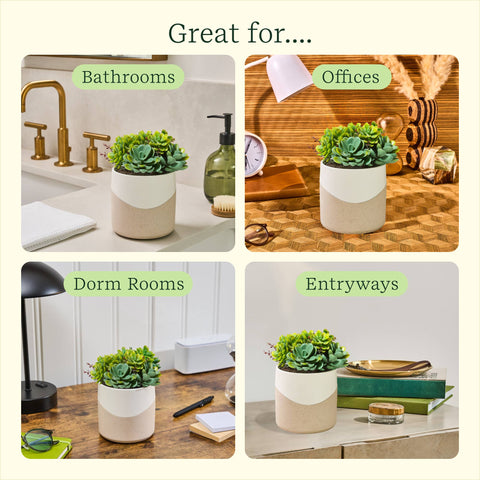 Diffuser - Succulent Plant Two Toned