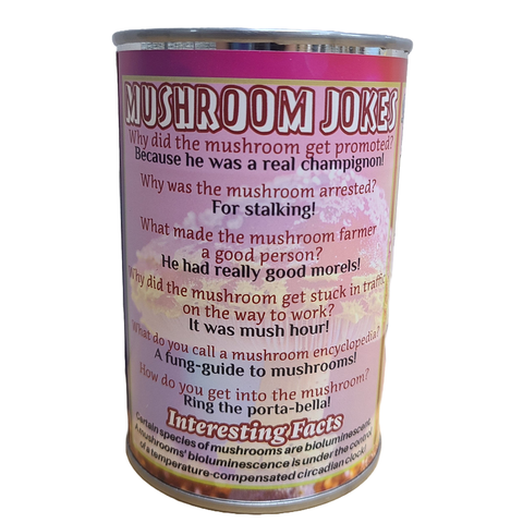 Stuffed Animal - Canned Ombre Rainbow Mushroom (Standard Lid)