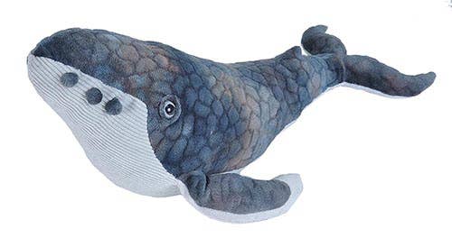 CK Humpback Whale Stuffed Animal 12"