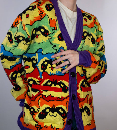 Cardigan - Rainbow Raccoon