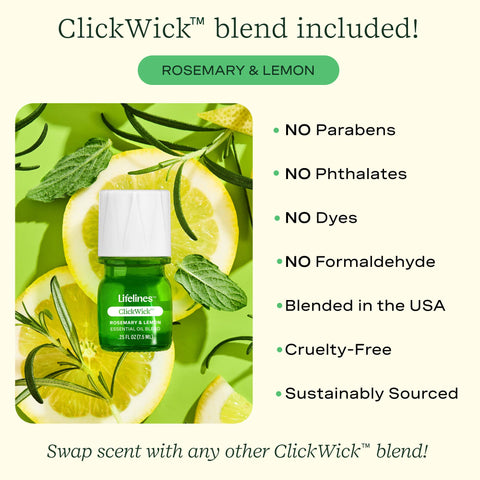 Diffuser - Succulent Plant Two Toned