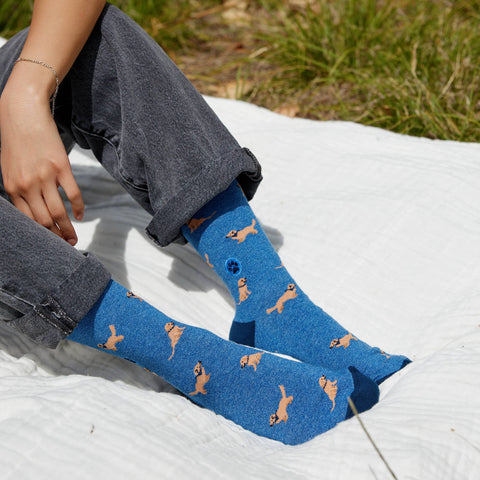 Socks that Save Dogs - Golden Retrievers