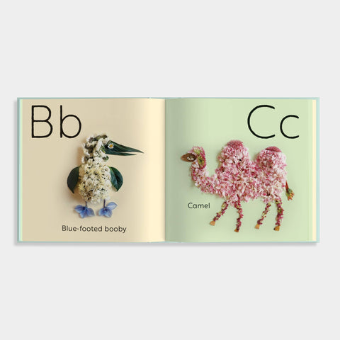 Book (Hardcover) - Flora Forager ABC: A Floral Alphabet Book for Children