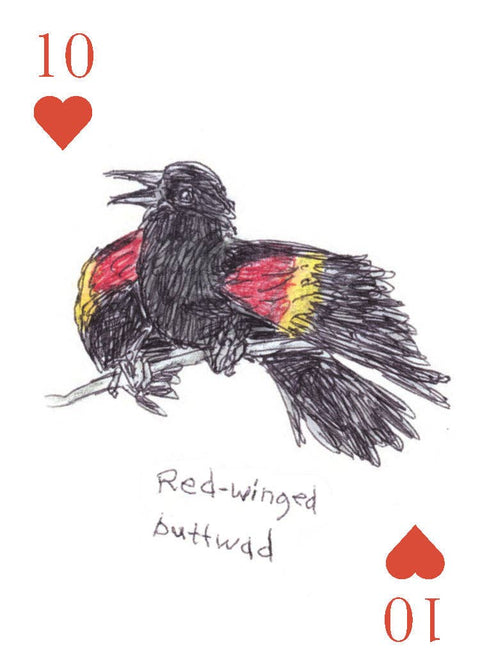 Playing Cards - Field Guide to Dumb Birds