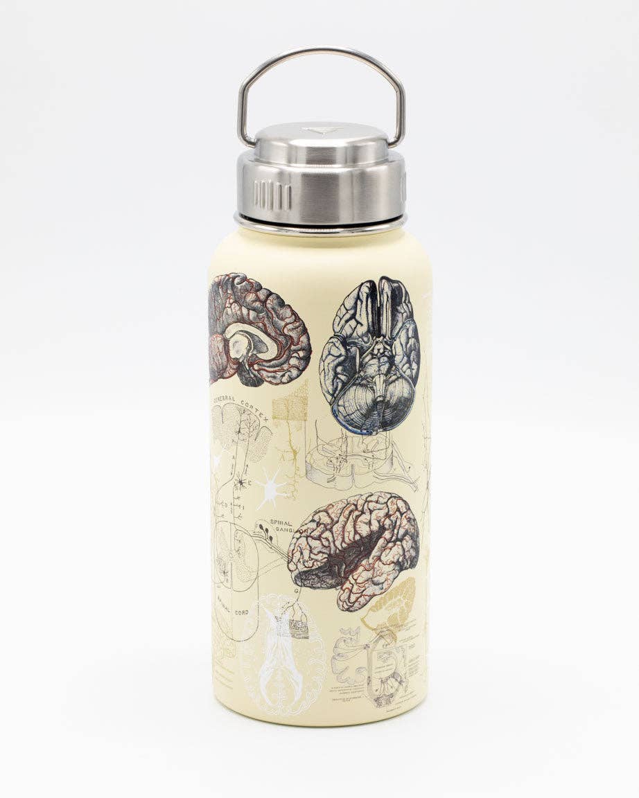 Water Bottle (Stainless Steel) - Brain & Neuroscience 32 oz