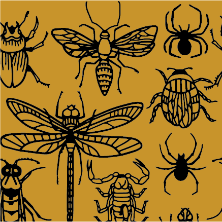 Crew Socks - Creepy Crawlies