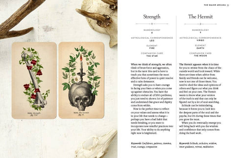 Tarot Cards - Antique Anatomy