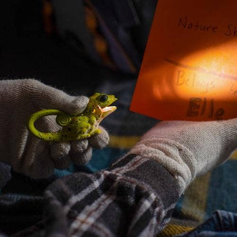 Flashlight - Green Lizard Carabiner