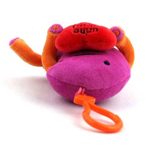Keychain - Kidney 4.5"