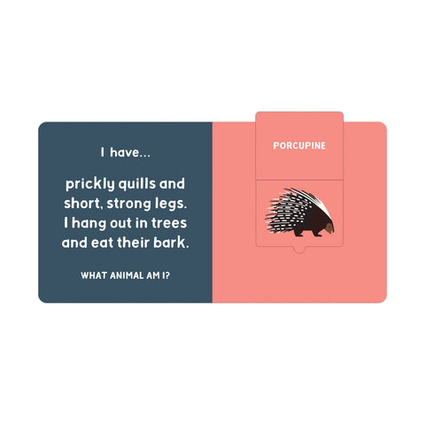 Board Book - Forest Tracks: What Animal Am I? Lift-the-Flap