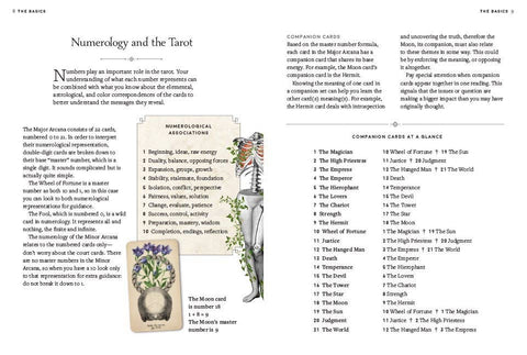 Tarot Cards - Antique Anatomy