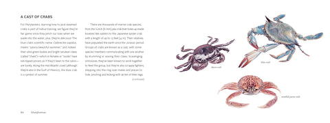 Book (Hardcover) - The Beachcomber's Companion
