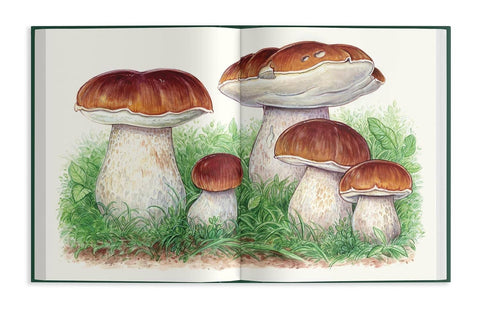 Book (Hardcover) - Pacific Northwest Mushroom Foraging
