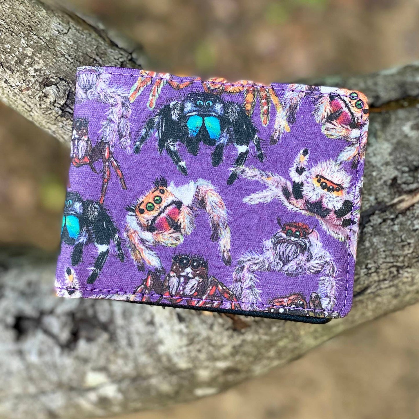 Bifold Wallet - Jumping Spiders