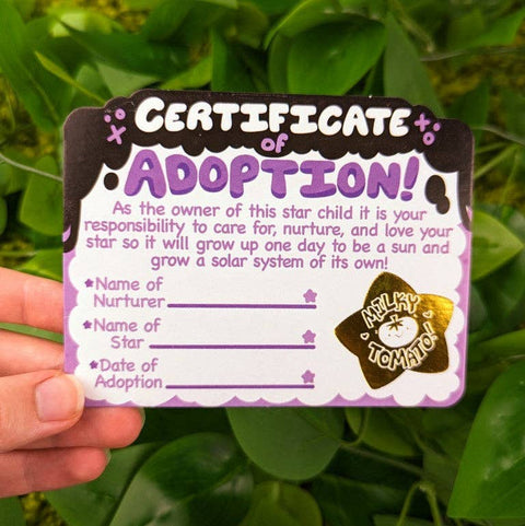 Blind Box - Adopt a Star Baby Plush