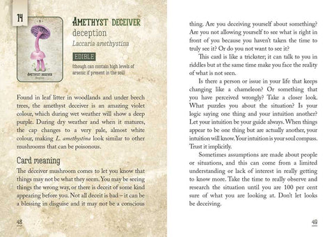 Mushroom Spirit Oracle by Nicola McIntosh: Flashcards; 112 pages / English