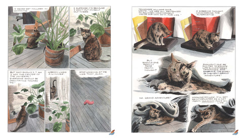 Book (Paperback) - Penny (Graphic Novel)