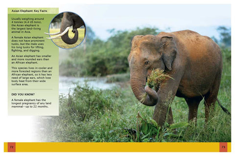 Book (Paperback) - Ultimate Animal Encyclopedia by Claudia Martin