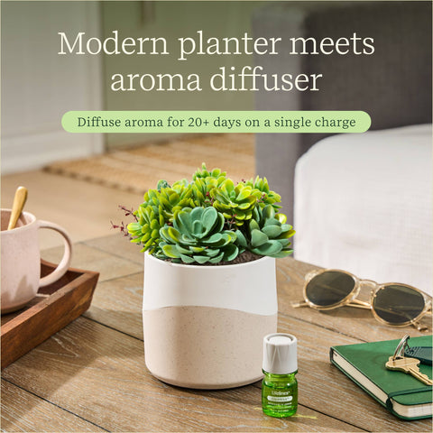 Diffuser - Succulent Plant Two Toned