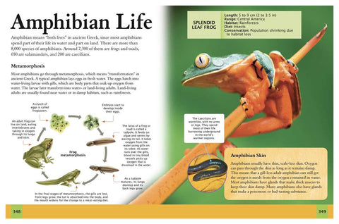 Book (Paperback) - Ultimate Animal Encyclopedia by Claudia Martin