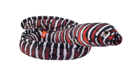 Stuffed Animal - Eel Moray Zebra