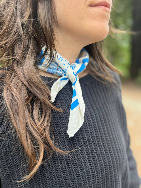 Bandana - Summer Picnic