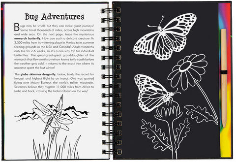 Scratch & Sketch - Bugs!