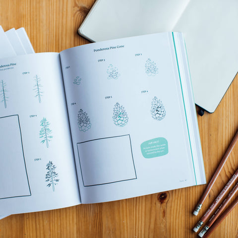 Book (Paperback) - Pacific Northwest How to Draw Book (Trees, Flowers and More)