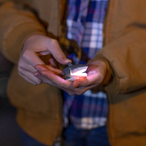Flashlight - Shark Carabiner