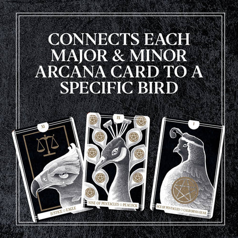 Tarot Cards - Avian