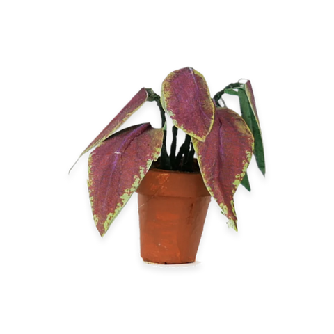 Play Set - Sam & Julia: Mouse Mansion Die-Cuts