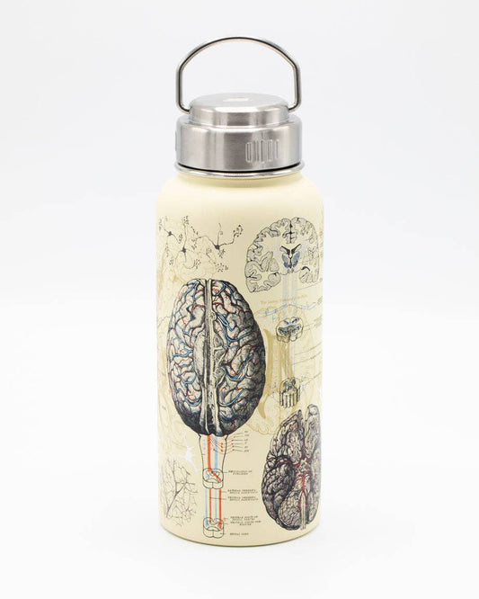 Water Bottle (Stainless Steel) - Brain & Neuroscience 32 oz