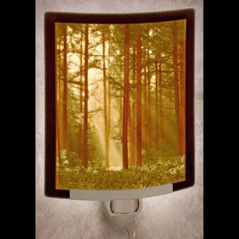 Night Light - Woodland Sunbeam Curved Colored Porcelain