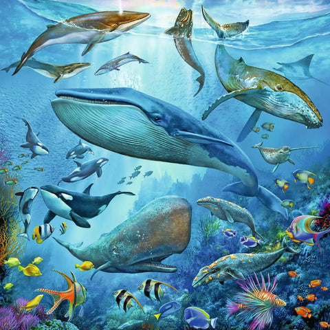 Puzzle Set - Ocean Life (3 x 49pc)